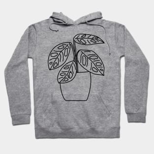 Gatenplant Monstera Obliqua Monkey Leaf Lines Hoodie